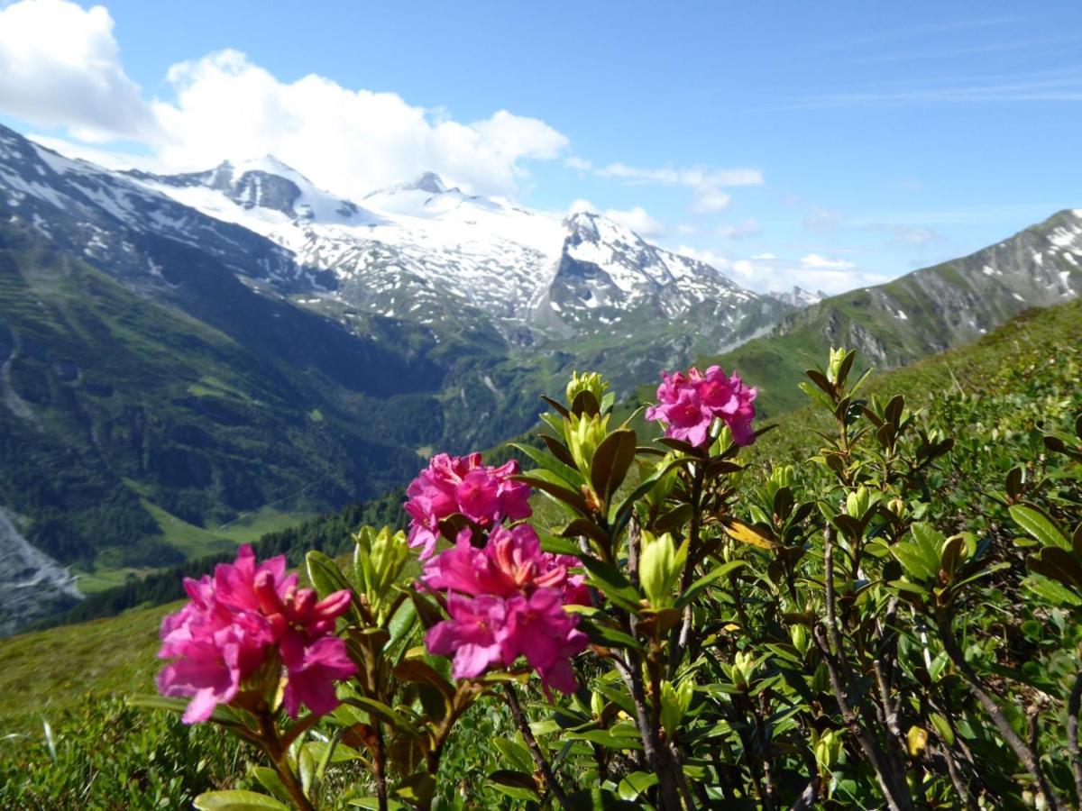 Ferienwohnung Alpenheim Tux Esterno foto